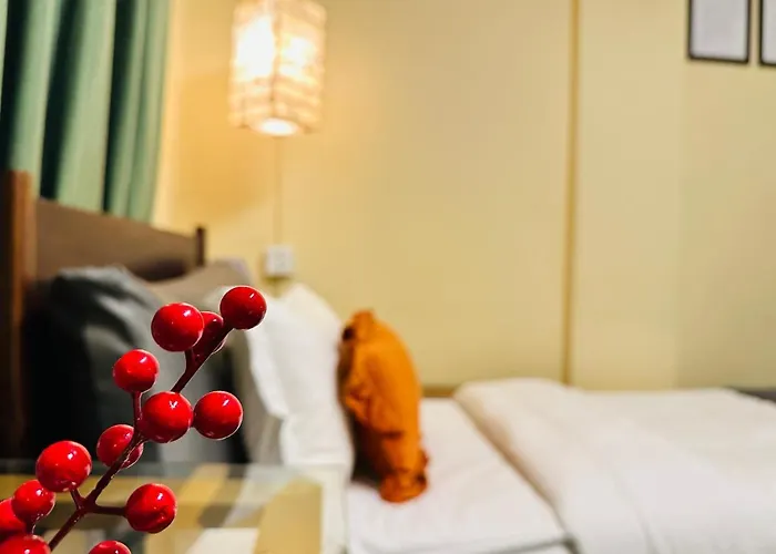 Darwin Hotel 2*