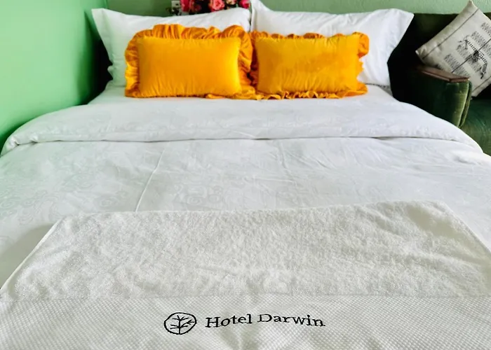 Darwin 2* Kathmandu