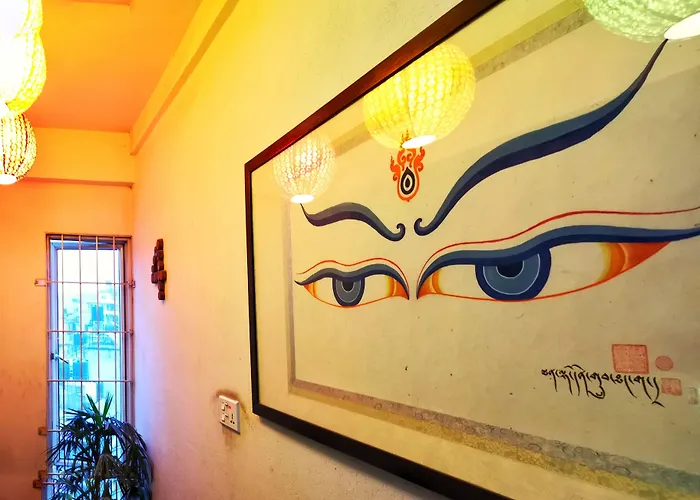 达尔文酒店 酒店